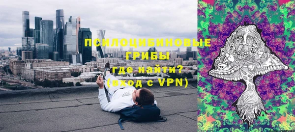 мдпв Алексин