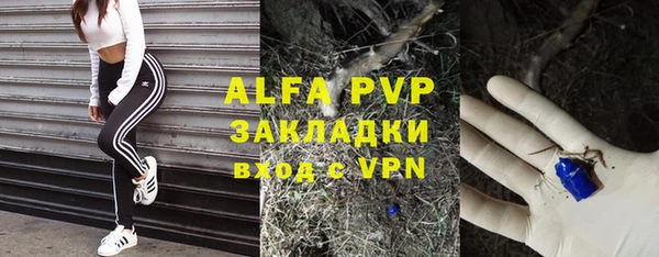 прущие крисы Алзамай