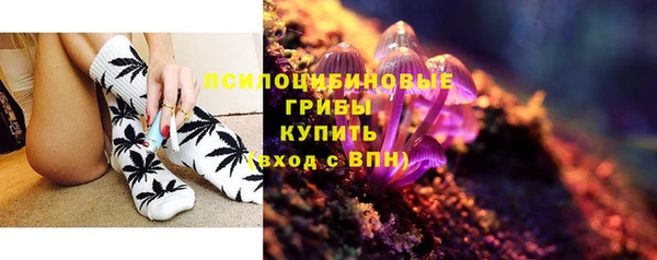дживик Алексеевка