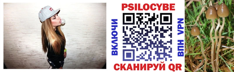 Псилоцибиновые грибы Psilocybe  Люберцы 