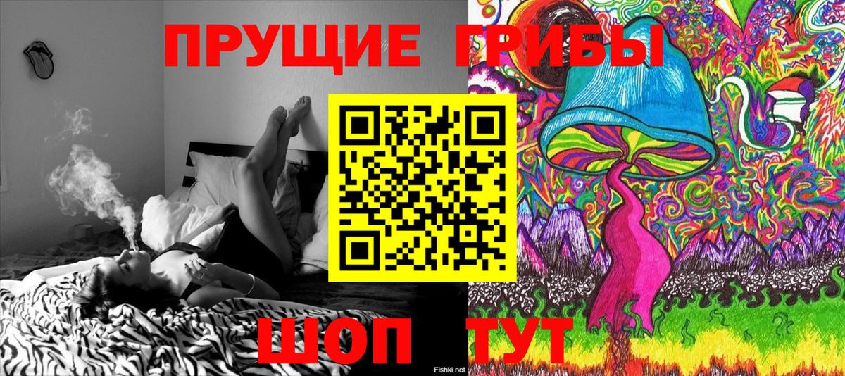 Галлюциногенные грибы MAGIC MUSHROOMS  Вход с VPN  Люберцы  Галлюциногенные грибы Cubensis 